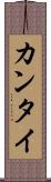 カンタイ Scroll
