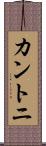 カントニ Scroll