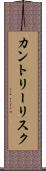 カントリー・リスク Scroll