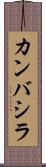 カンバシラ Scroll