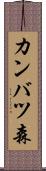 カンバツ森 Scroll