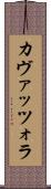 カヴァッツォラ Scroll