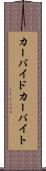 カーバイド Scroll