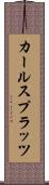 カールスプラッツ Scroll