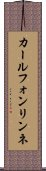 カールフォンリンネ Scroll