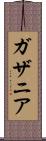 ガザニア Scroll