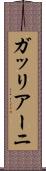 ガッリアーニ Scroll