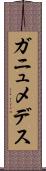 ガニュメデス Scroll