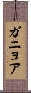 ガニョア Scroll