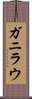 ガニラウ Scroll