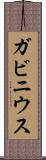 ガビニウス Scroll