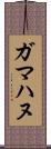 ガマハヌ Scroll