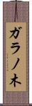 ガラノ木 Scroll