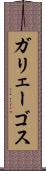 ガリェーゴス Scroll