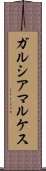 ガルシアマルケス Scroll