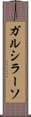 ガルシラーソ Scroll