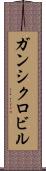 ガンシクロビル Scroll