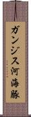ガンジス河海豚 Scroll