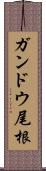 ガンドウ尾根 Scroll