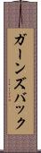 ガーンズバック Scroll