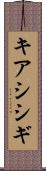 キアシシギ Scroll