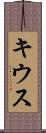 キウス Scroll