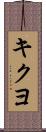 キクヨ Scroll