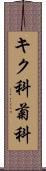 キク科;菊科 Scroll