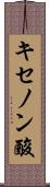 キセノン酸 Scroll