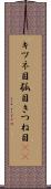 キツネ目 Scroll