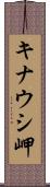 キナウシ岬 Scroll