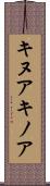 キヌア Scroll