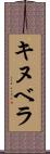 キヌベラ Scroll