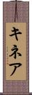 キネア Scroll
