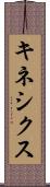 キネシクス Scroll