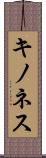 キノネス Scroll