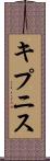 キプニス Scroll