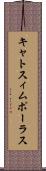 キャトスィムポーラス Scroll