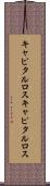 キャピタルロス Scroll