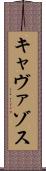 キャヴァゾス Scroll