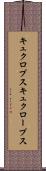 キュクロプス Scroll