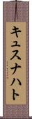 キュスナハト Scroll