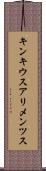 キンキウスアリメンツス Scroll