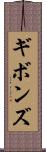 ギボンズ Scroll