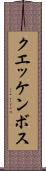 クエッケンボス Scroll