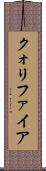 クォリファイア Scroll