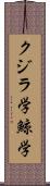クジラ学 Scroll