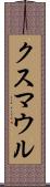 クスマウル Scroll