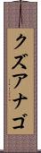 クズアナゴ Scroll