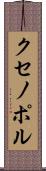 クセノポル Scroll